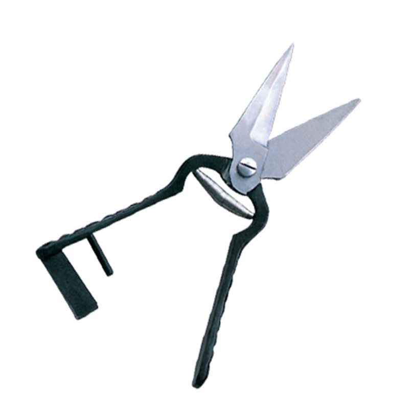 Scissors & Shears